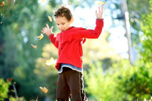 Action shot of boy tossing autumn leaves up into the air. The colors of the leaves are so colorful, the crunch and crackle of the leaves sounds so good and it is so much fun to watch the leaves float to the ground.